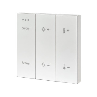 ST015.500.99 Беспроводная панель управления для SKYLINE 220/ SKYLINE 48 Белый