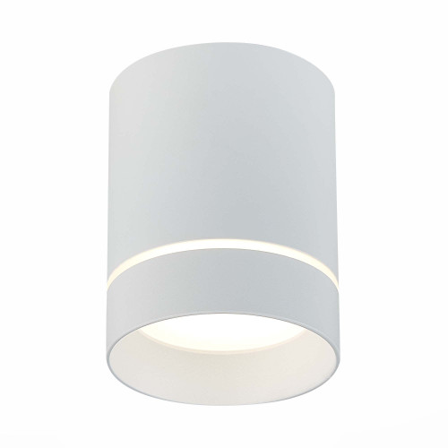 ST115.542.12 Светильник потолочный Белый LED 1*12W 4000K 840Lm Ra>90 120° IP20 D79xH100 170-240V