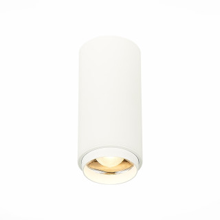 ST600.532.10 Светильник потолочный Zoom Белый LED 1*10W 3000K 1 000Lm Ra>80 15-60° IP20 D59xH130 170