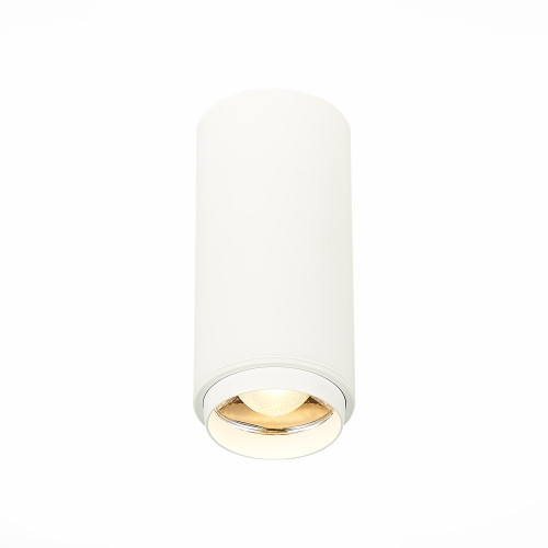 ST600.532.10 Светильник потолочный Zoom Белый LED 1*10W 3000K 1 000Lm Ra>80 15-60° IP20 D59xH130 170