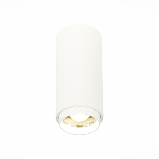 ST600.542.10 Светильник потолочный Zoom Белый LED 1*10W 4000K 1 000Lm Ra>80 15-60° IP20 D59xH130 170