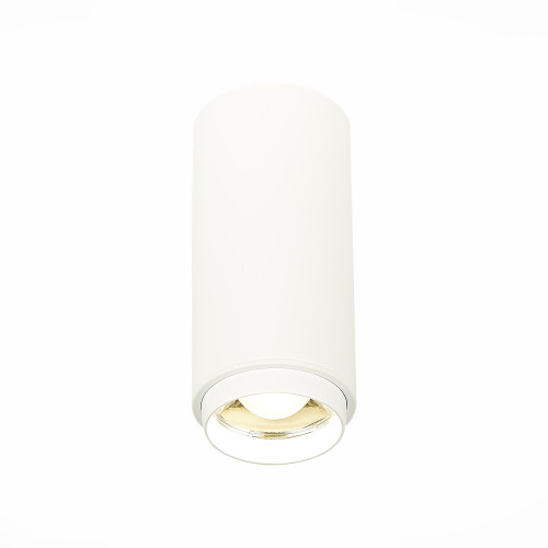 ST600.542.10 Светильник потолочный Zoom Белый LED 1*10W 4000K 1 000Lm Ra>80 15-60° IP20 D59xH130 170